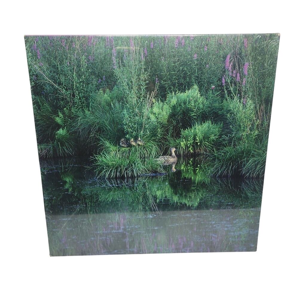 Vintage 1986 Eaton Mallards At Home 500 piece Puzzle 15-468-90 Brand New Sealed